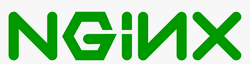 10-nginx